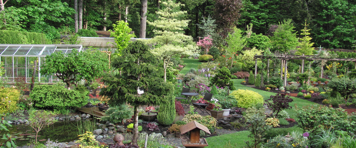 Stone Tree Cottage Gardens